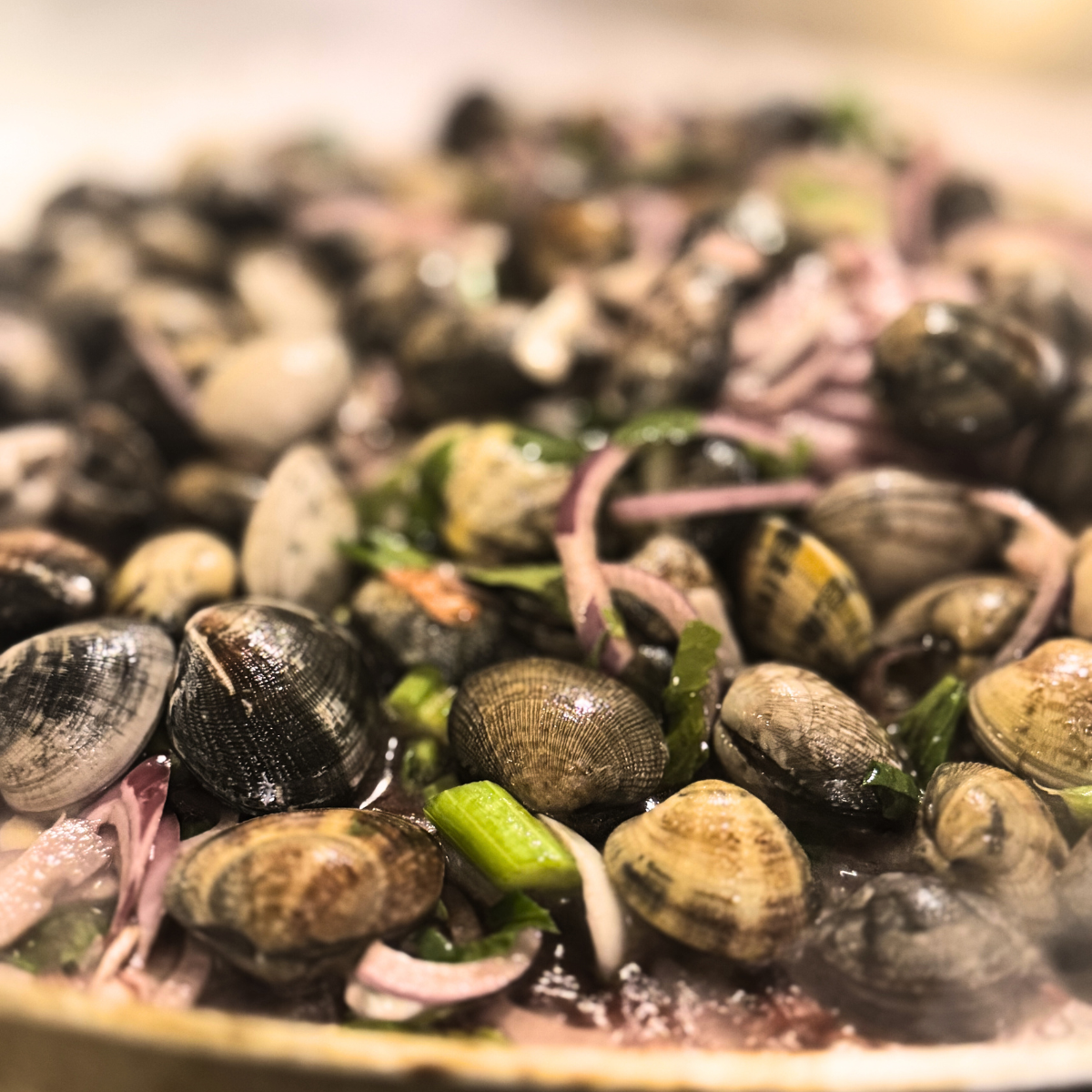 Muscheln im Rotweinsud – Procida auf dem Teller